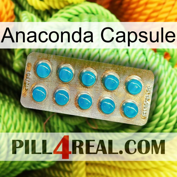 Anaconda Capsule new09.jpg